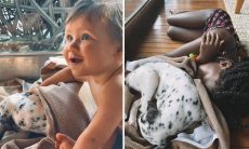 Bruno Gagliasso adota nova cachorrinha: "Bem-vinda a família"