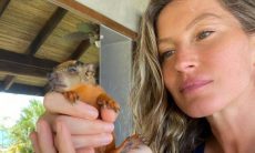 Gisele Bündchen resgata filhote de esquilo: 'rezando que ele fique bem'