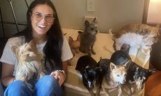 Demi Moore posta foto ao lado dos nove cães e encanta os fãs
