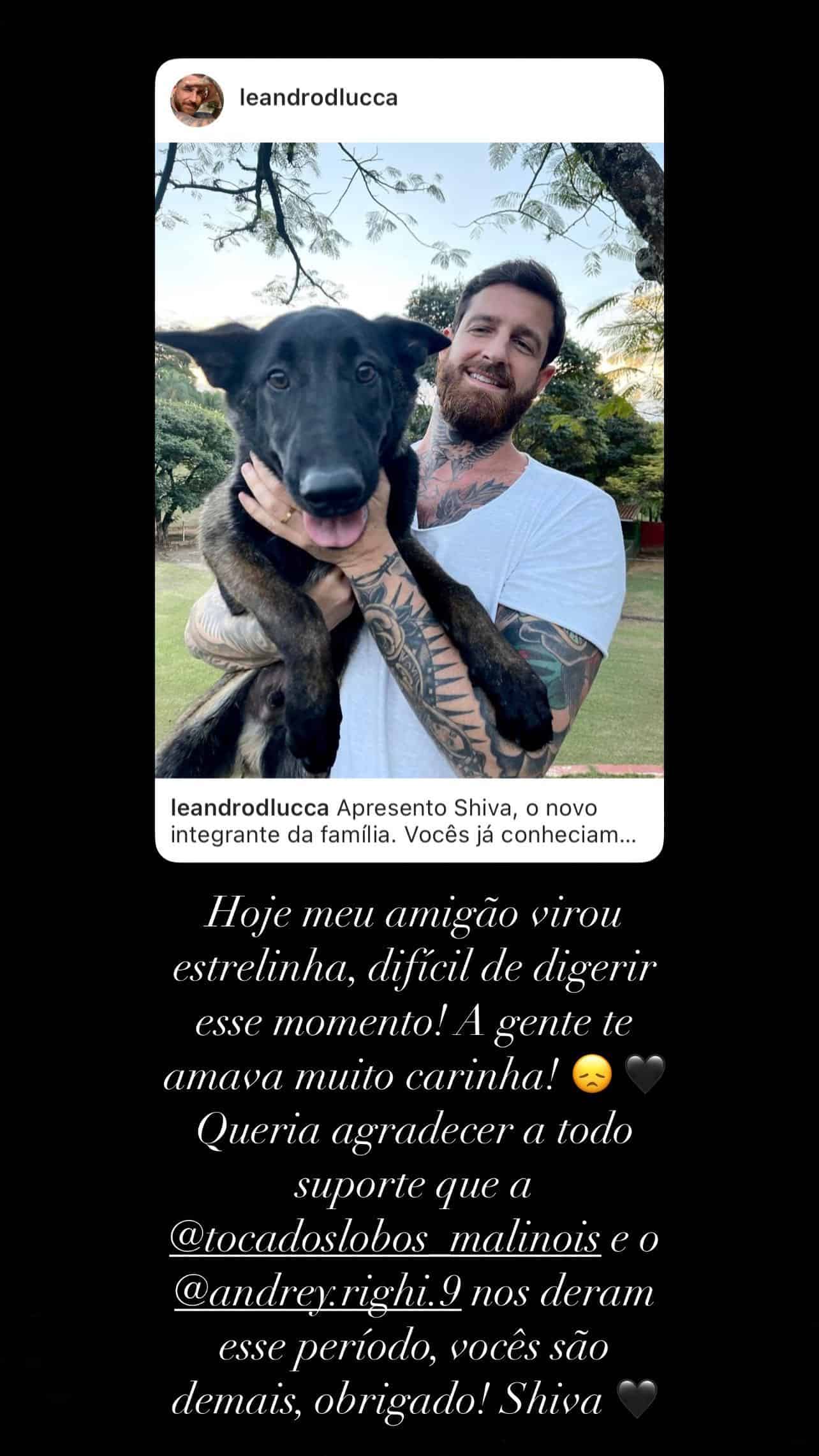 Cleo e o marido lamentam morte de cachorro de estimação: 'te amo pra sempre' (Foto: Reprodução/Instagram)