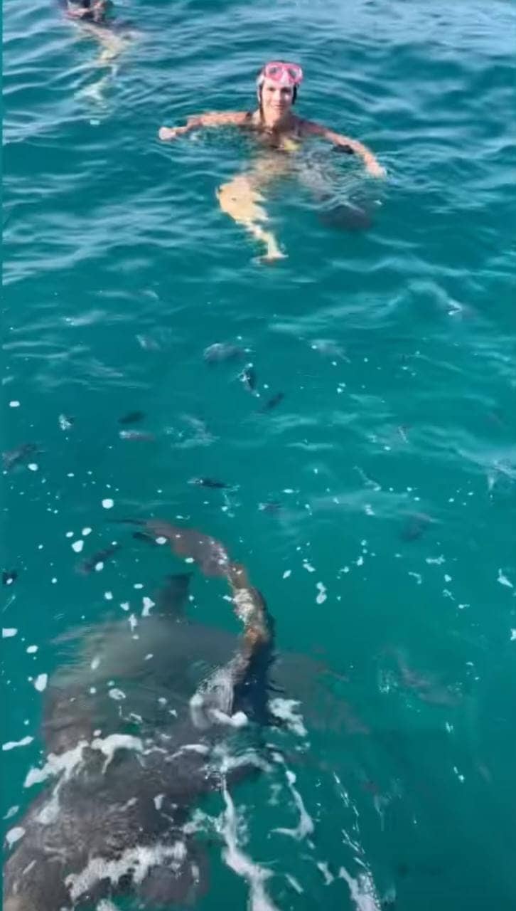 Ingrid Guimarães e Giovanna Antonelli nadam com tubarões em Noronha (Foto: Reprodução/Instagram)