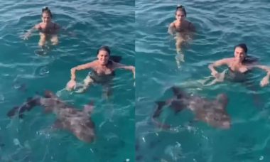 Ingrid Guimarães e Giovanna Antonelli nadam com tubarões em Noronha