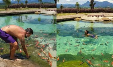 Bruno Gagliasso nada com peixes em 'lago piscina' de seu Rancho