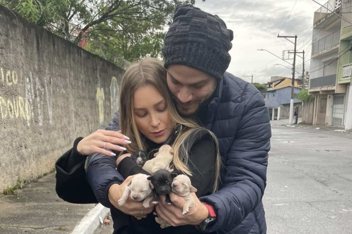 Carla Diaz e namorado resgatam animais: "Sete vidinhas salvas"