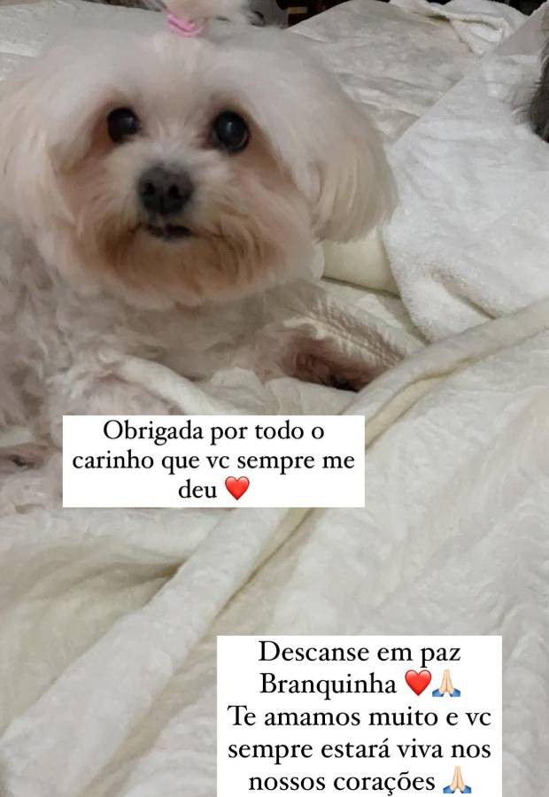Yasmin Brunet lamenta morte de sua cachorrinha de estimação (Foto: Reprodução/Instagram)