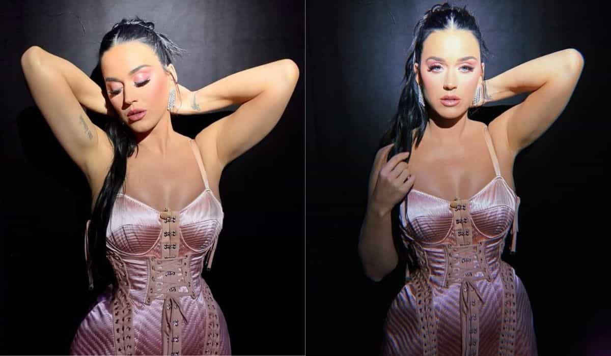 Katy Perry encantou a web ao posar com corset acetinado