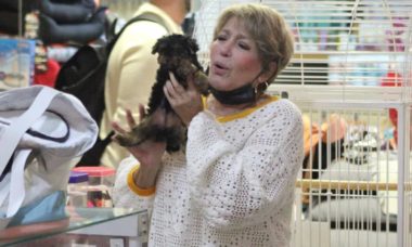 Susana Vieira se encanta com filhotes de cachorrinho no shopping