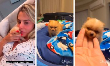 Poliana Rocha ganha novo cachorro de Leonardo após morte na família