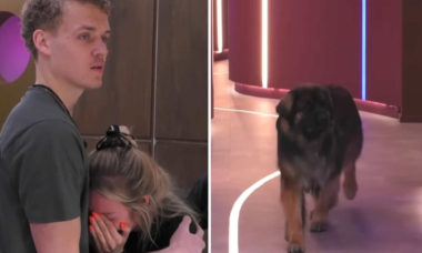 Prova do Big Brother Holanda leva cachorro de confinada e sister cai no choro