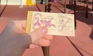 Vuoden 1978 sisäänpääsylippu Disney-puistoon. Kuva: Matthew Ablesin TikTok-näyttökuva