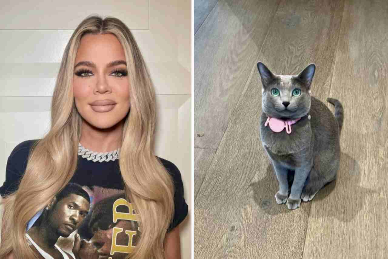 Khloé Kardashian è accusata di aver usato Photoshop sul viso del suo gatto