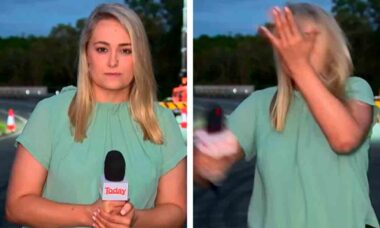 Repórter se dá um tapa na cara após ser atacada por mosquito ao vivo na TV