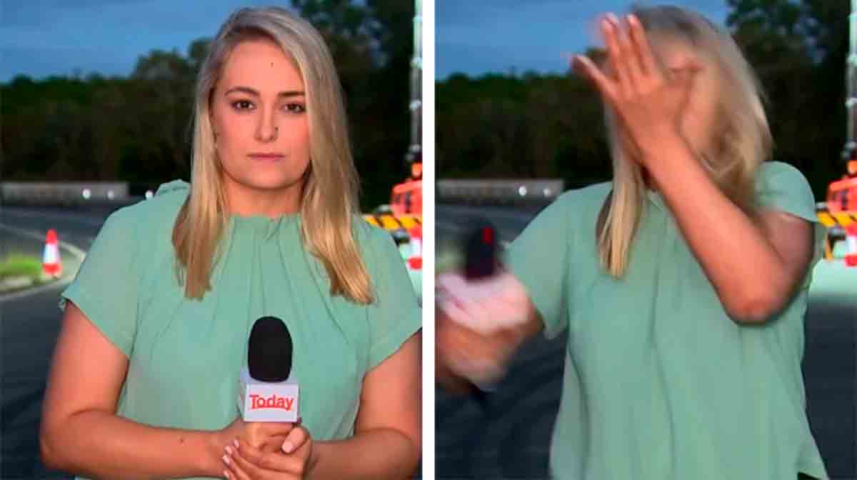 Reportérka se po živém vysílání televize praští do obličeje poté, co ji napadl komár