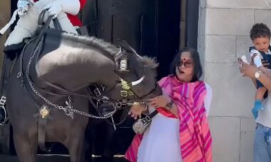 Vídeo bizarro: Cavalo da Guarda Real da Inglaterra morde turista