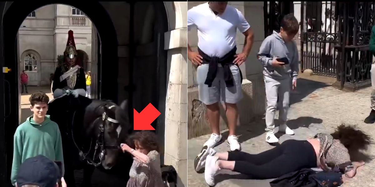 Video: Britannian kuninkaallisen vartion hevonen antaa puskemuksen turistille Buckinghamin palatsissa
