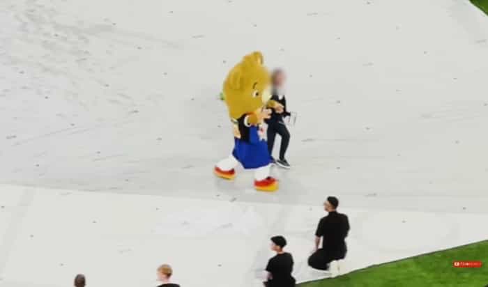 German YouTuber banned from Euro 2024 after invading pitch disguised as mascot (YouTube / @MarvinWildhage)