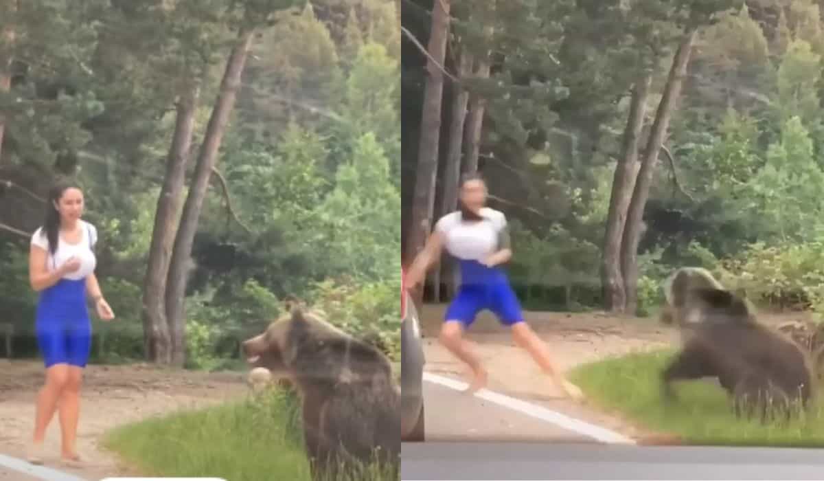 Videó egy nőről, akit megtámad egy medve, miközben fényképet próbál készíteni Romániában, vírusként terjed