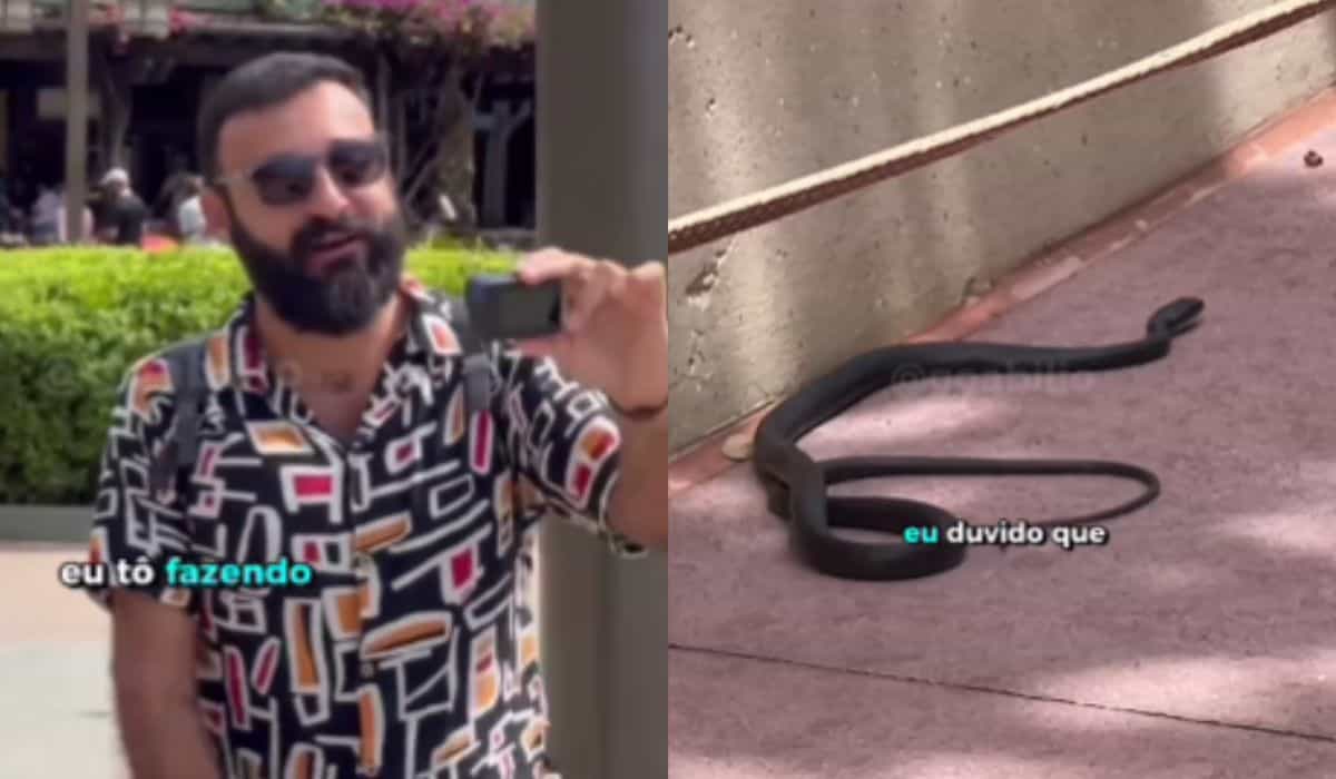 Brazilian influencer spots snake at Disney park during stroll