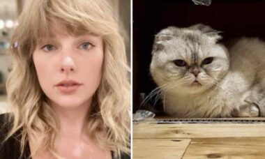 Taylor Swift ja hänen lemmikkikissansa. Kuva: Instagram Reproduktio