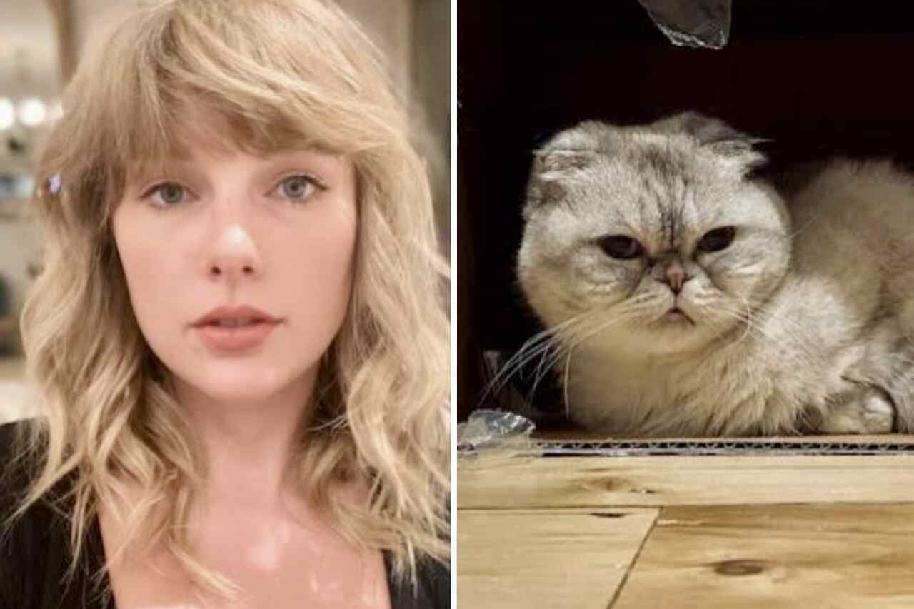 Taylor Swift a její domácí kočka. Foto: Instagram Reprodukce