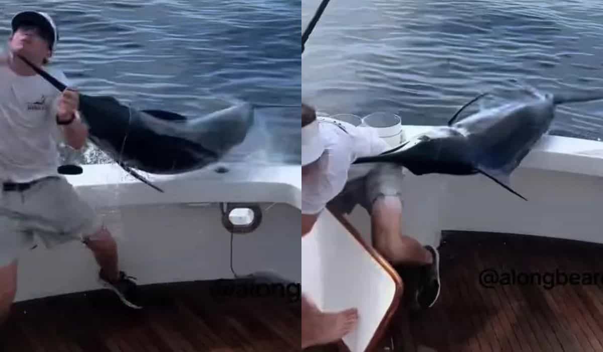 Vídeo viral exibe momento em que pescador é atacado por marlim gigante