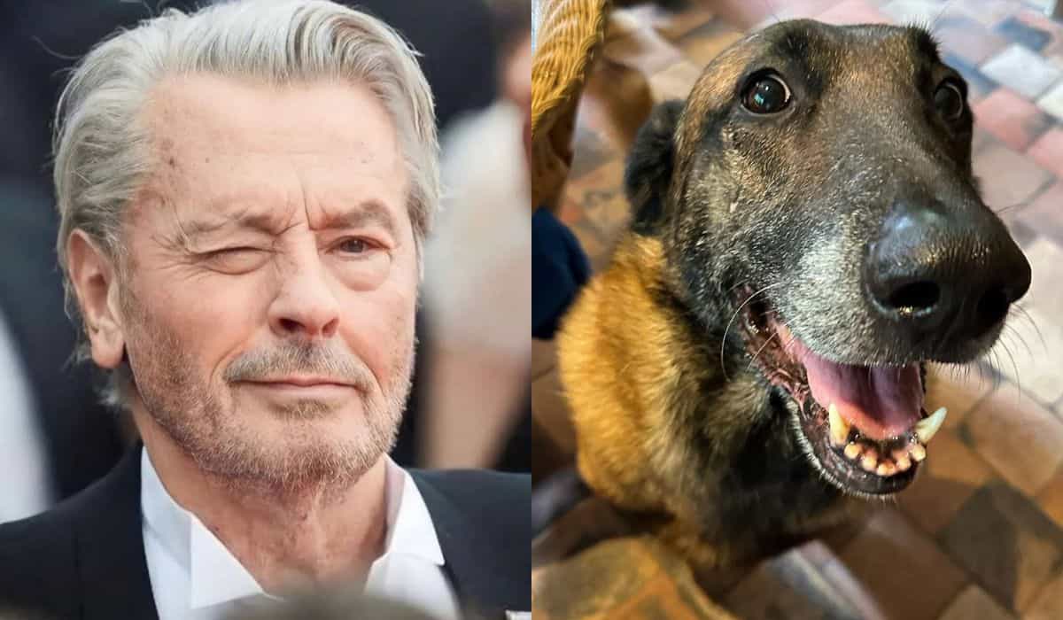 Alain Delon's family does not fulfill the actor's final wish to euthanize his dog