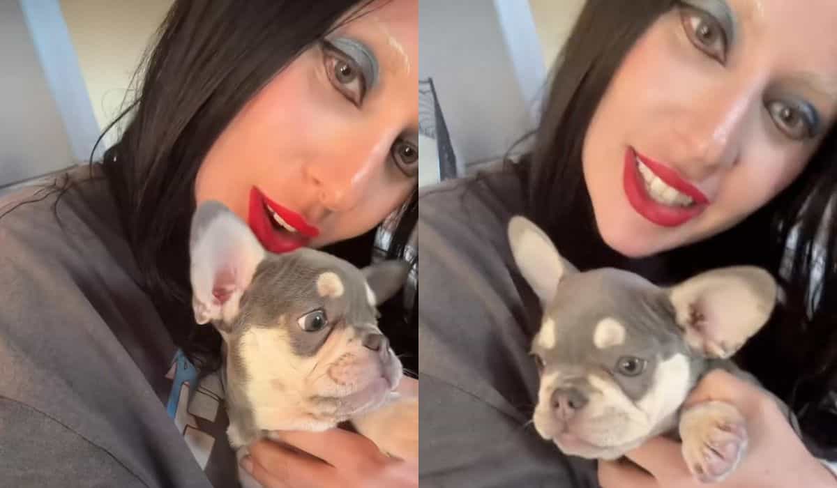 Lady Gaga adopts a new puppy three years after the violent kidnapping of her dogs