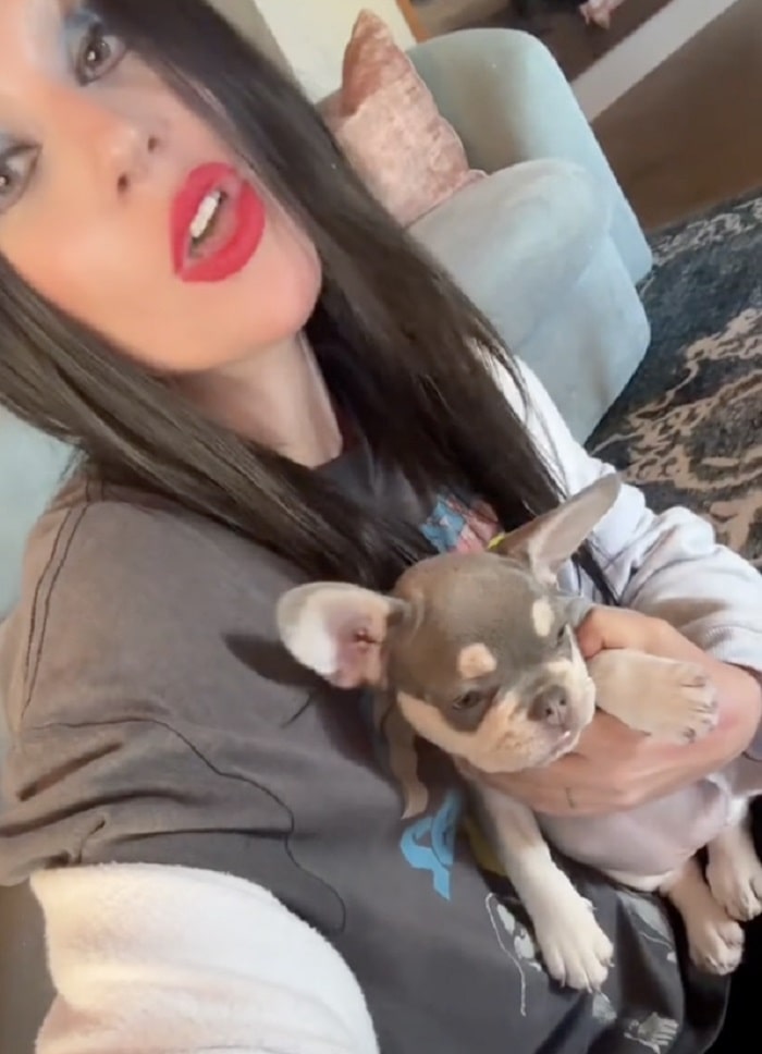 Lady Gaga adopteert een nieuwe puppy drie jaar na de gewelddadige ontvoering van haar honden (TikTok / ladygaga)