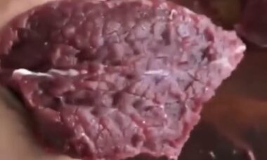 Bizarro: Internauta mostra carne se "mexendo" e vídeo viraliza