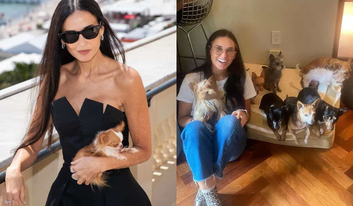 Demi Moore spøker med at hun er single på grunn av sine 9 hunder: 'jeg er eksentrisk'