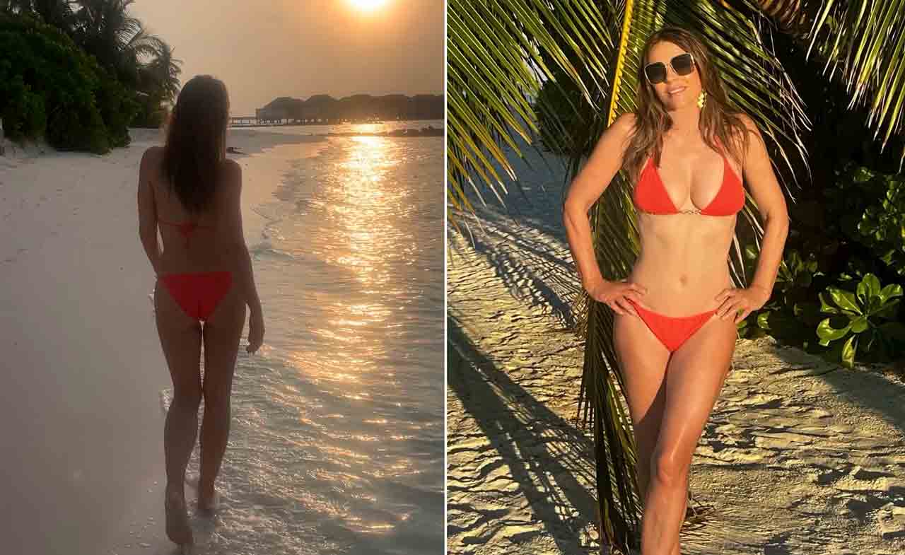 Elizabeth Hurley. Instagram @elizabethhurley1