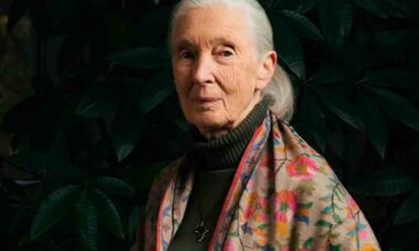 Jane Goodall em uma de suas expedições. Foto: Jane Goodall Institute