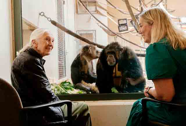Jane Goodall tijdens een van haar expedities. Foto: Jane Goodall Institute